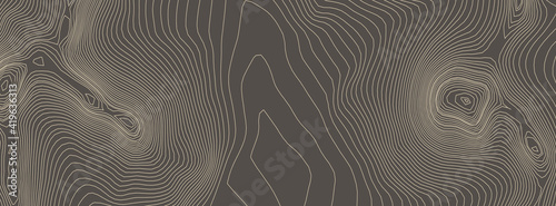 Contours vector topography. Geographic mountain topography vector illustration. Topographic pattern texture. Elevation graphic contour height lines.