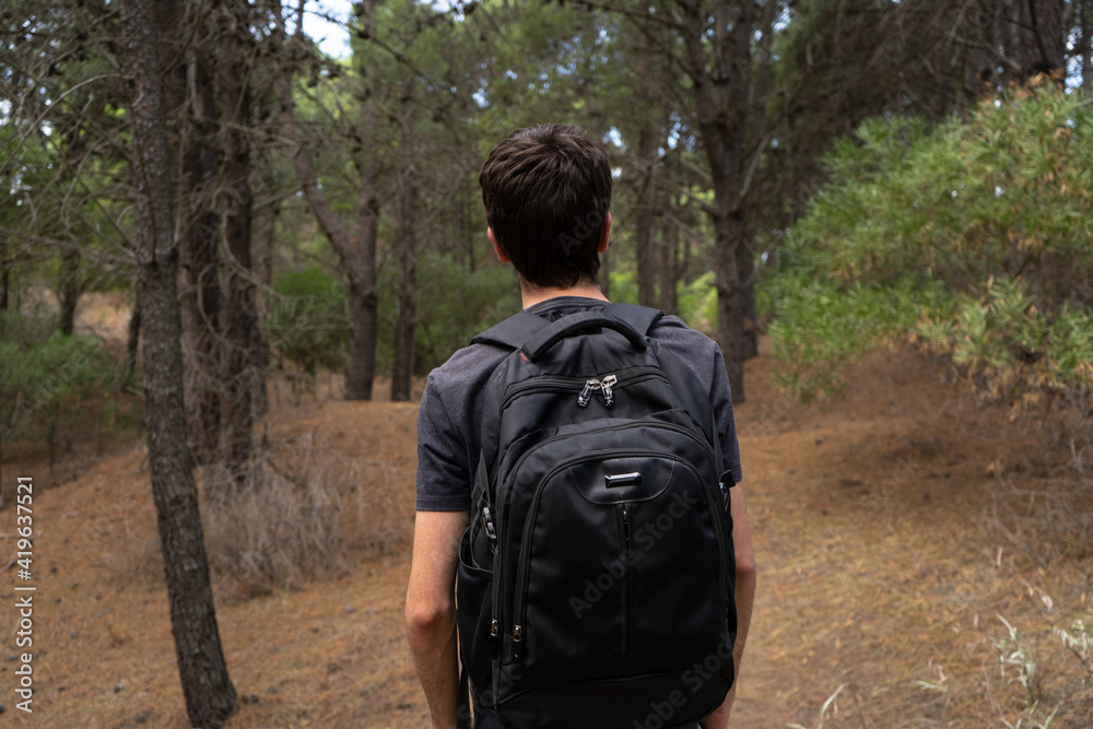 Young male explorer walking in a pine forest