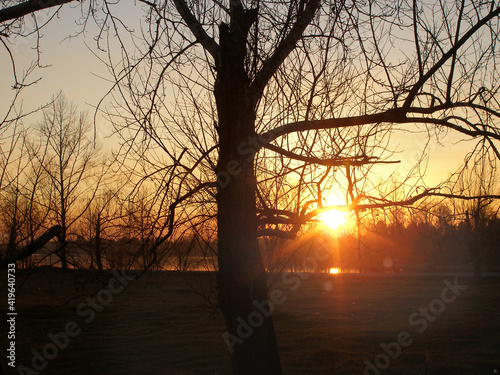 Breathtaking evening in the forest. Sunset over river. spring bare trees and sunset Countryside landscape
