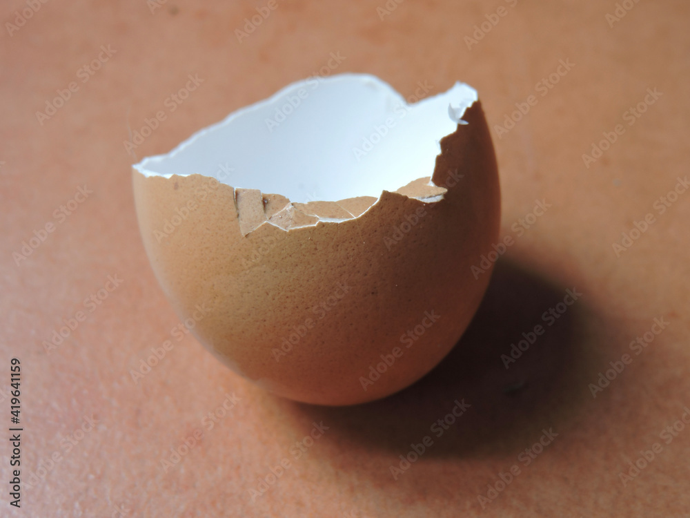 Chicken eggshell shards with white and terracotta background Chicken eggshell shards with white and terracotta background