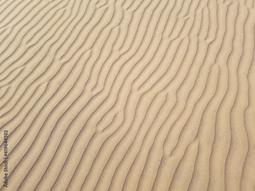 beautiful desert sand background with wind ripples lines or waves effects, transverse sand dune close up. beautiful desert sand background with wind ripples lines or waves effects, transverse sand dune close up.