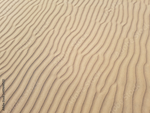 beautiful desert sand background with wind ripples lines or waves effects, transverse sand dune close up.
