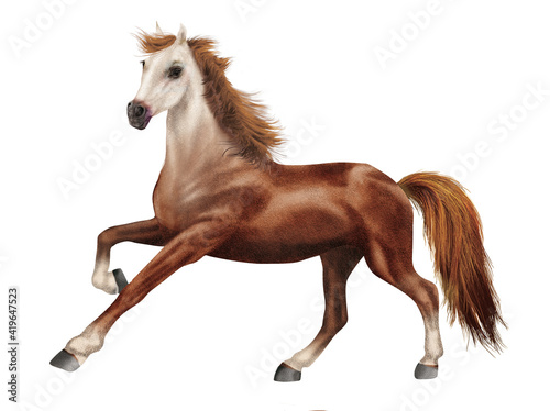 cheval, licorne, animal, fantaisie, blanc, étalon, roux, tête blanche, poney, photo, crin, illustration, poulain, chevalin, 3d, fond blanc, jument, debout, premier pas, féérique, andalou, pur, galop, 