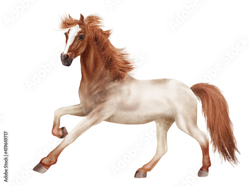 cheval, licorne, animal, fantaisie, blanc, étalon, tête roux, poney, photo, crin, illustration, poulain, chevalin, 3d, fond blanc, jument, debout, premier pas, féérique, andalou, pur, galop, amoureux 