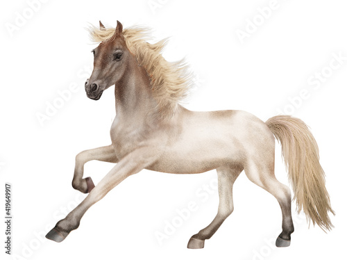 cheval, licorne, animal, fantaisie, blanc, étalon, tête noir, poney, photo, crin, illustration, poulain, chevalin, 3d, fond blanc, jument, debout, premier pas, féérique, andalou, pur, galop, amoureux 