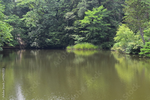 木が生い茂る森が反射する池