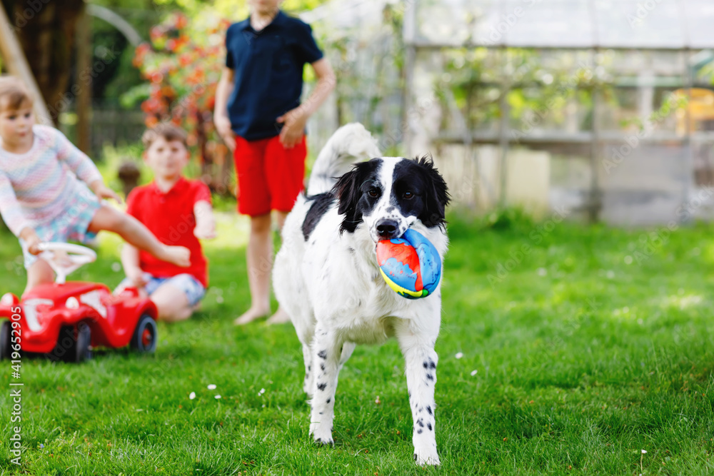 Two kids boys and little toddler girl playing with family dog in garden. Three children, adorable siblings having fun with dog. Happy family outdoors. Friendship between animal and kids Two kids boys and little toddler girl playing with family dog in garden. Three children, adorable siblings having fun with dog. Happy family outdoors. Friendship between animal and kids