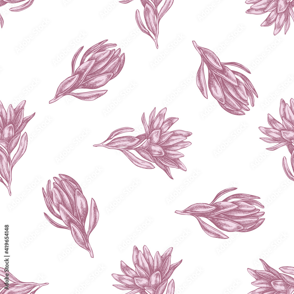 Seamless pattern with hand drawn pastel leucadendron