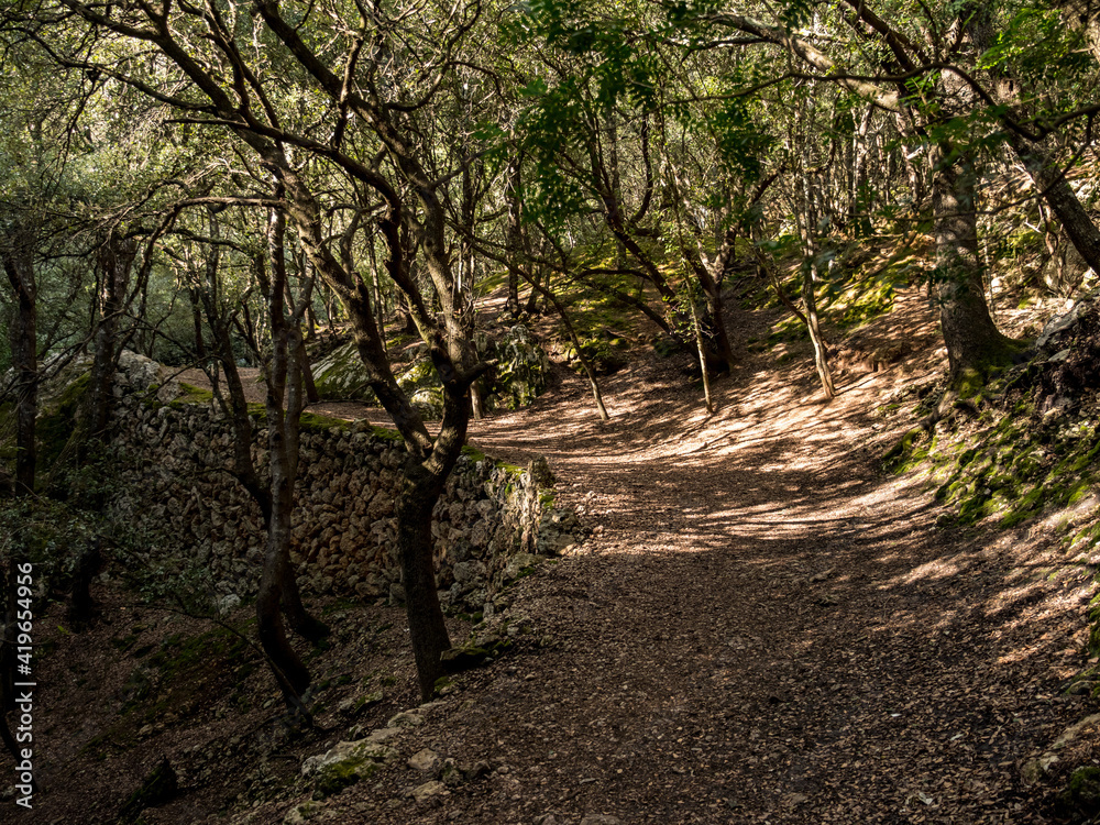 walking path with magical ambient paved with rocks towards the tourist attraction of the famous Es Freu (Orient), hiking area near the village of Bunyola on the balearic island of mallorca, spain walking path with magical ambient paved with rocks towards the tourist attraction of the famous Es Freu (Orient), hiking area near the village of Bunyola on the balearic island of mallorca, spain