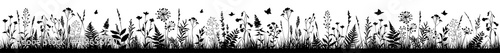 Long floral background with black silhouettes of meadow wild herbs and flowers. Wild flowers. Wild grass.