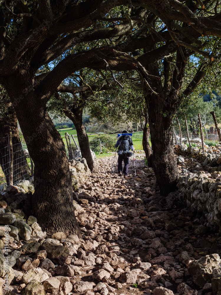 Hiker walkingg with backpack along the path to the tourist attraction of Es Freu (Orient), hiking area near the village of  Bunyola on the balearic island of mallorca, spain