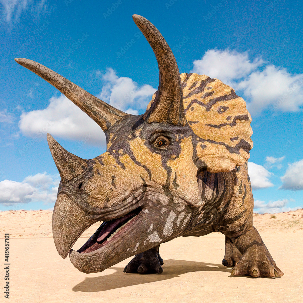 Fototapeta premium triceratops id profile picture