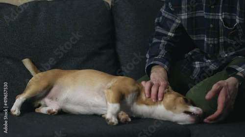 Teenager playing with a dog at home.