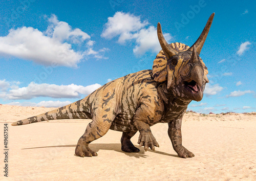 Fototapeta Naklejka Na Ścianę i Meble -  triceratops is walking side view