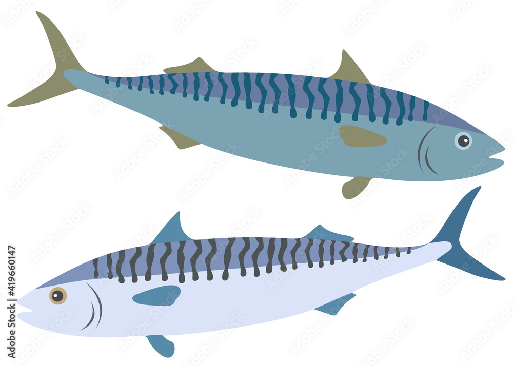 Turquoise and blue mackerel in the set. Turquoise and blue mackerel in the set.