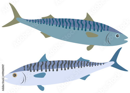 Turquoise and blue mackerel in the set.