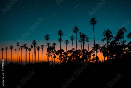 Palmtrees in the sunset