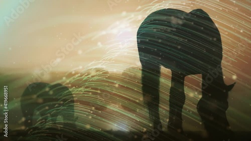 sunset and horse energy a stream of luminous particles, a cycle of a stream of luminous particles. light effects moving and flexible lines in abstract style profit energy meditation