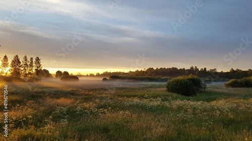 amazing summer morning sunrise over a field meadow with orange sun shining through the trees. The meadow is covered with white mist.