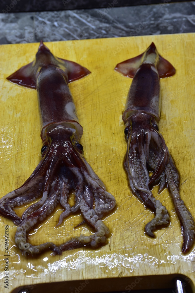 Il totano, Todarodes sagittatus è un mollusco cefalopode marino ed appartiene alla grande famiglia dei calamari catturato nella costa tirrenica della Sicilia