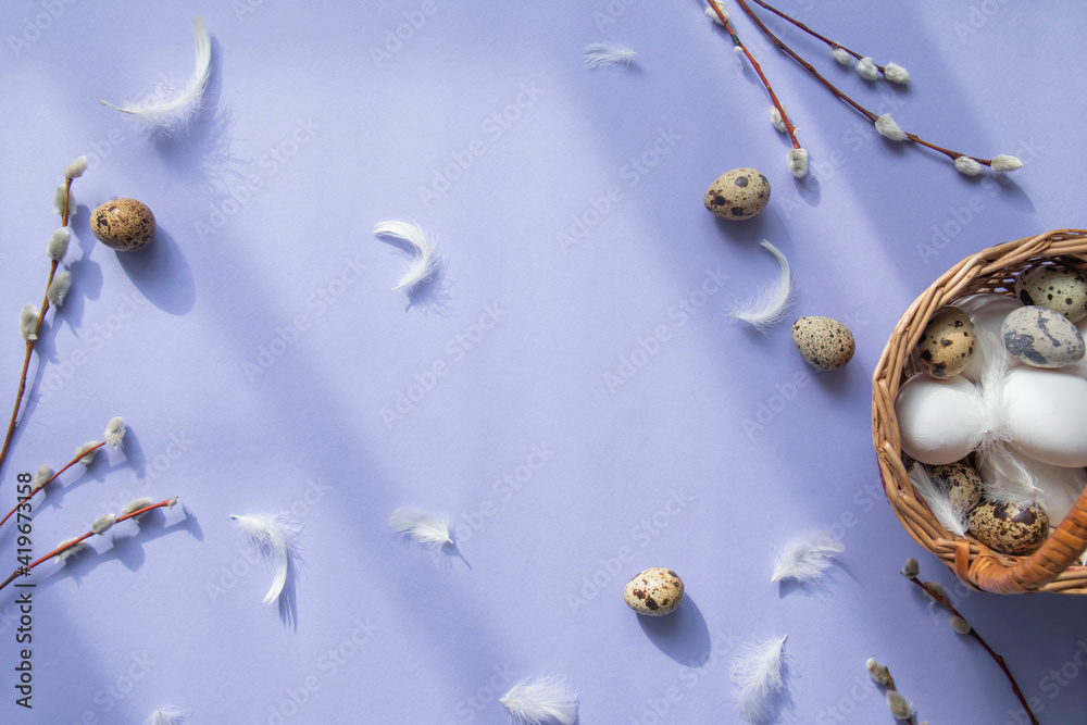 Fototapeta premium Easter greeting card with white chicken eggs and brown quail eggs in a basket on a purple background. Space for your greetings. Happy Easter. White feathers and willow branches on a background.