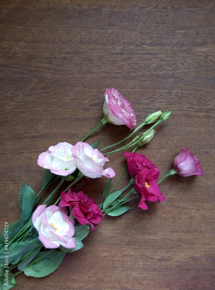 Bouquet of pink-white Eustoma Lisianthus (Texas bluebell, prairie gentian) flowers on a wooden background. Vertical image, flat lay