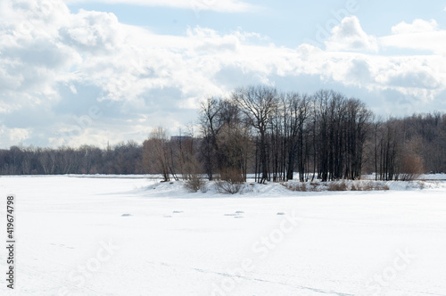 Winter panorama of the park. An island with trees in the middle of a frozen pond.