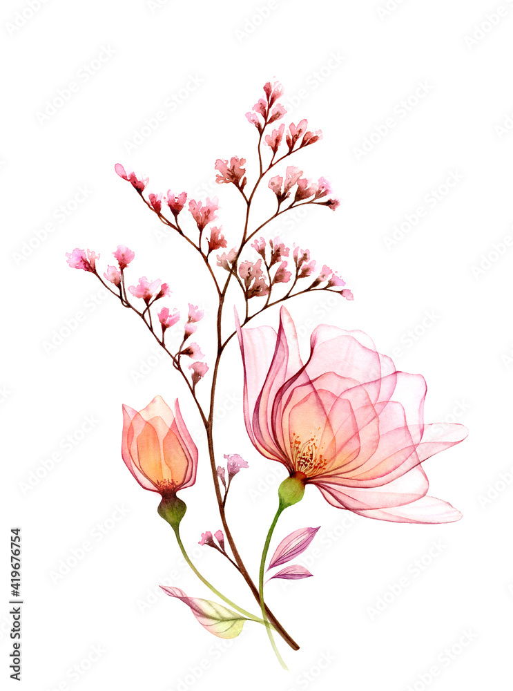 Watercolor Rose bouquet. Big transparent pink flowers isolated on white ...