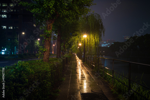 Canvas Print Street alley near Imperial Palace at a rainy night in Japan.