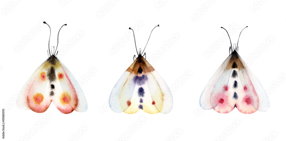 Watercolor butterflies set. Collection of colorful insects isolated on white. Detailed white, yellow, pink wings. Hand painted summer illustration
