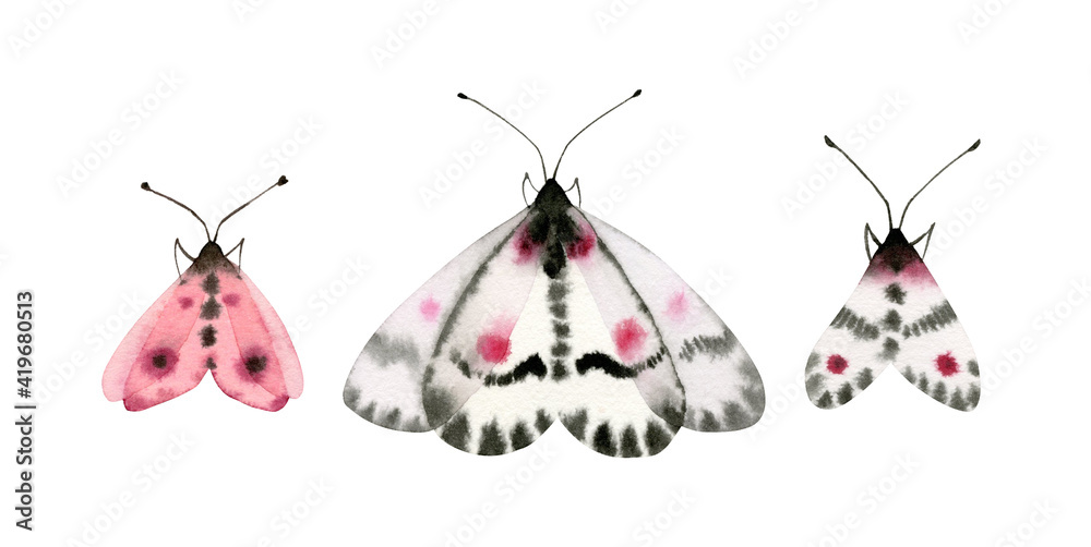 Naklejka premium Watercolor butterflies set. Collection of colorful insects isolated on white. Detailed white, black, pink wings. Hand painted summer illustration