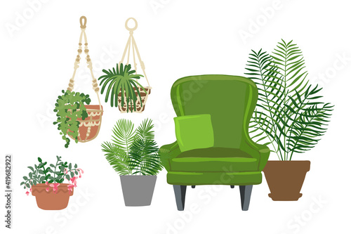 Home plants and flowers in pots. Landscaping at Indoor. Decor for the apartment and garden. Cacti and succulents