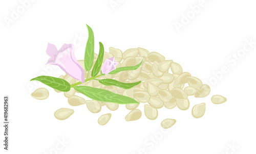 Heap of sesame seeds and fresh flower isolated on white background. Vector illustration in cartoon flat style.