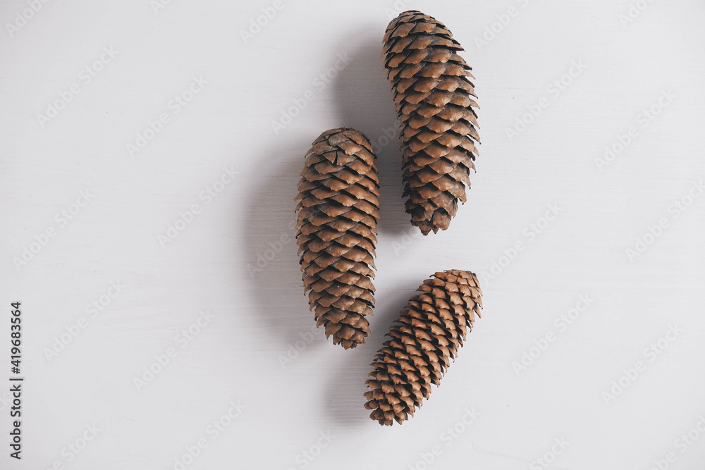 Three pine cones on a white background. Top view. Copy, empty space for text Three pine cones on a white background. Top view. Copy, empty space for text