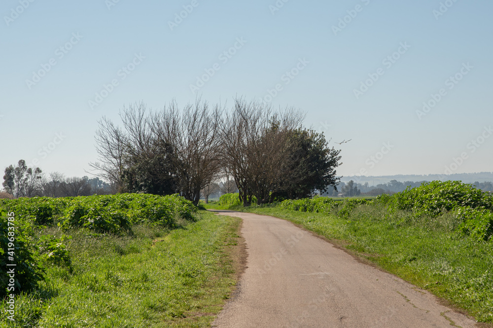 The excellent path for walking biking or riding in carts at Agmon Hahula Nature Reserve in Israel The excellent path for walking biking or riding in carts at Agmon Hahula Nature Reserve in Israel