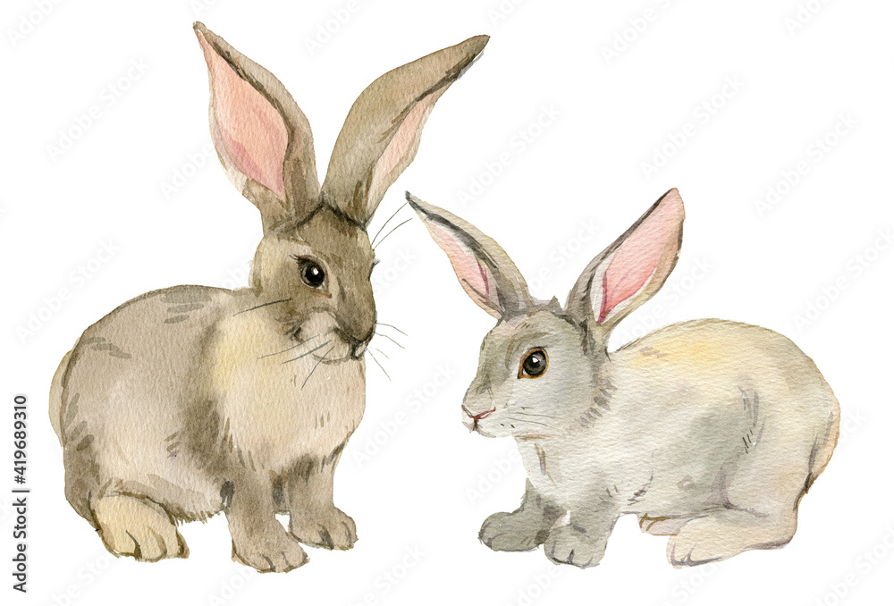 Two rabbits isolated on white background, watercolor illustration Two rabbits isolated on white background, watercolor illustration