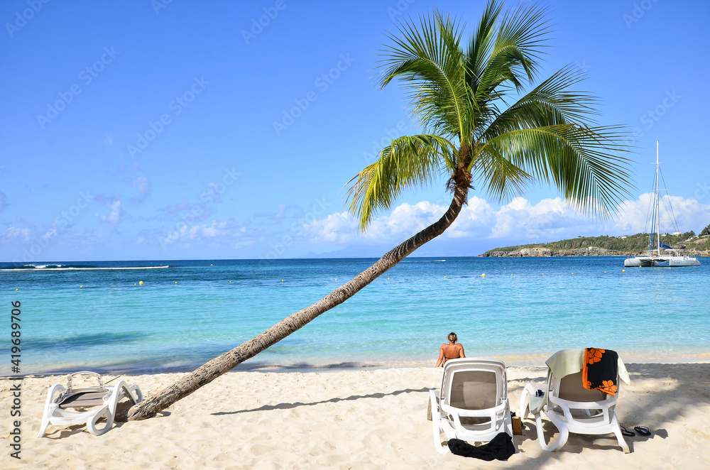 palm tree by the turquoise blue caribbean sea and in the foreground a white sand beach on the island of Guadeloupe