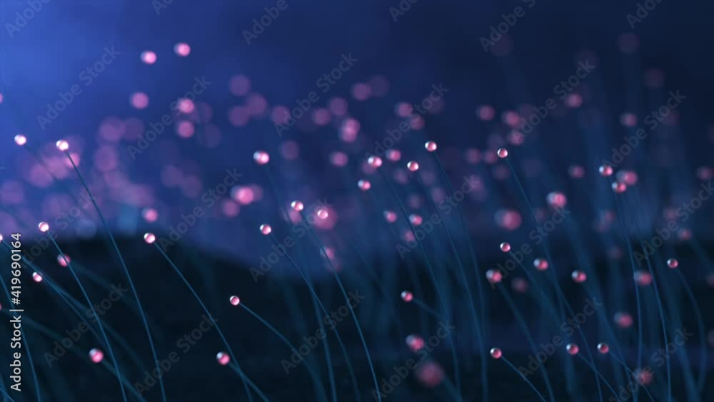 3D rendering colorful particle line like a flower grow. Glowing lines and light particles on dark blue background.