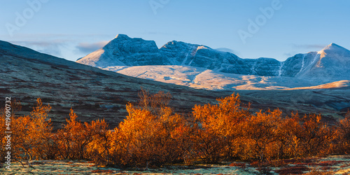 Birch trees in front of mountain scenery. Rondane Nationalpark, Norway. photo