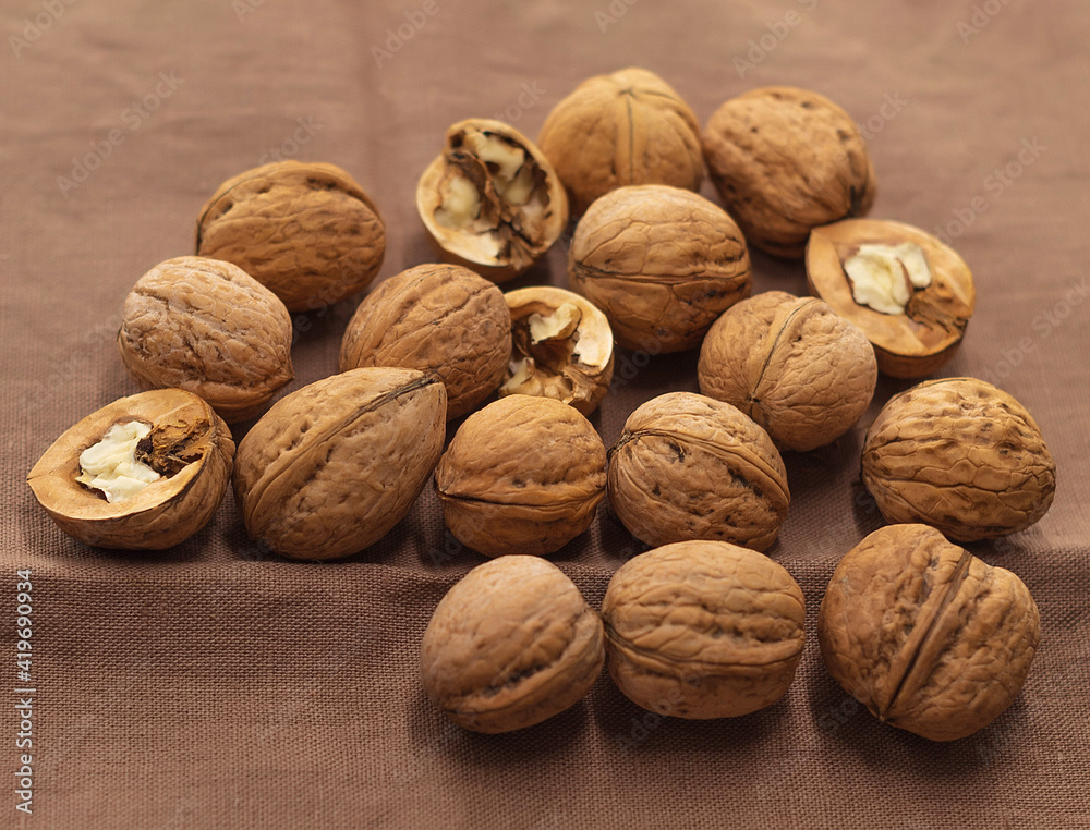 A small amount of whole walnuts is placed on a brown dish towel in the center A small amount of whole walnuts is placed on a brown dish towel in the center