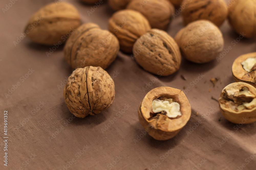 Fresh walnuts lie on the table on a kitchen towel Fresh walnuts lie on the table on a kitchen towel