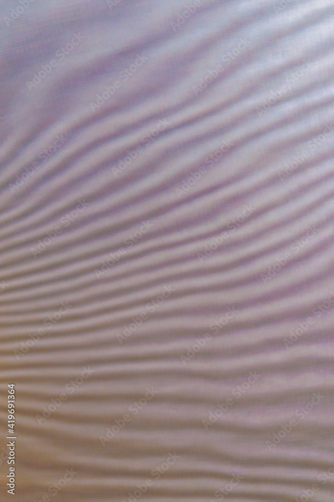 Obraz premium abstract colored wavy background of interference overlay fine meshes, combination of light and shadow, toning