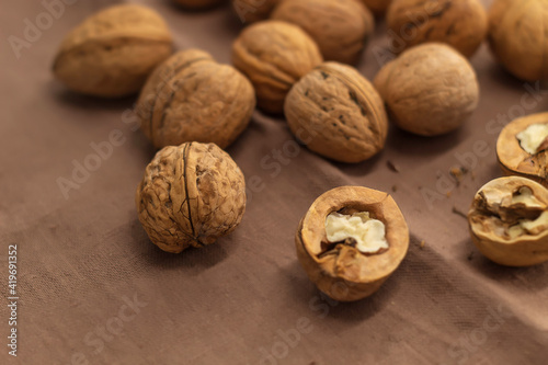 Fresh walnuts lie on the table on a kitchen towel