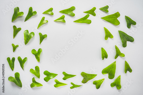 Spiral of green leaves on white background Creative Concept Studio