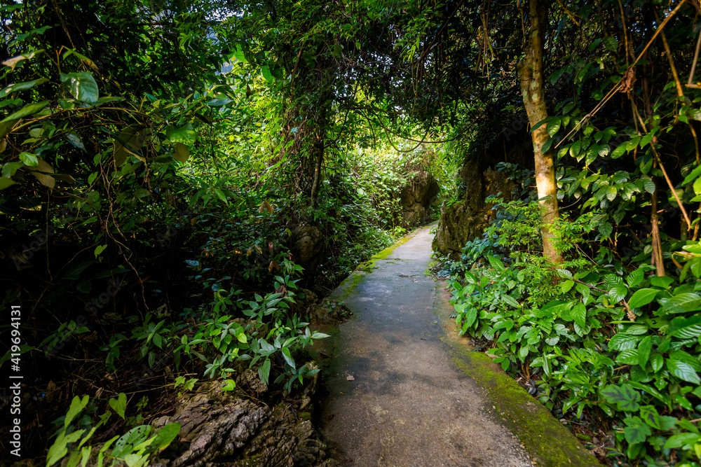 Path to Paradise Cave Vietnam Path to Paradise Cave Vietnam