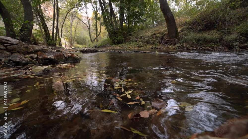 stream in autumn with leaves slowly flowing down the river course, golden colors and peaceful atmosphere. stream in autumn with leaves slowly flowing down the river course, golden colors and peaceful atmosphere.