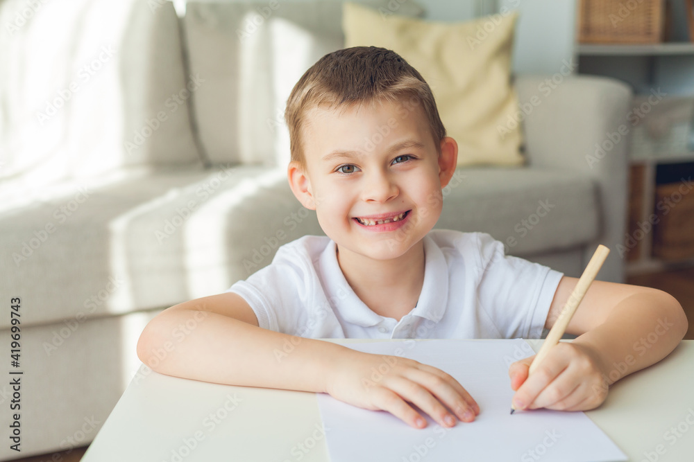 Schoolboy is studying online. The boy is engaged. Quarantine. Schoolboy is studying online. The boy is engaged. Quarantine.