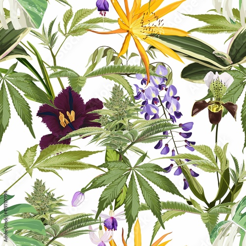 Seamless pattern of cannabis plant and many kind of flowers. Legal Medicine Cannabis Marijuana Illustration. White background.