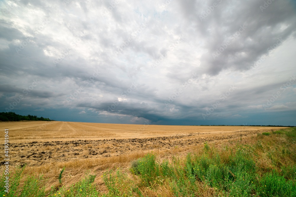storm clouds over a wheat field, a tornado is visible in the distance