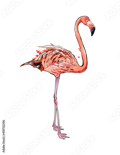 Pink flamingo from a splash of watercolor, colored drawing, realistic. Vector illustration of paints